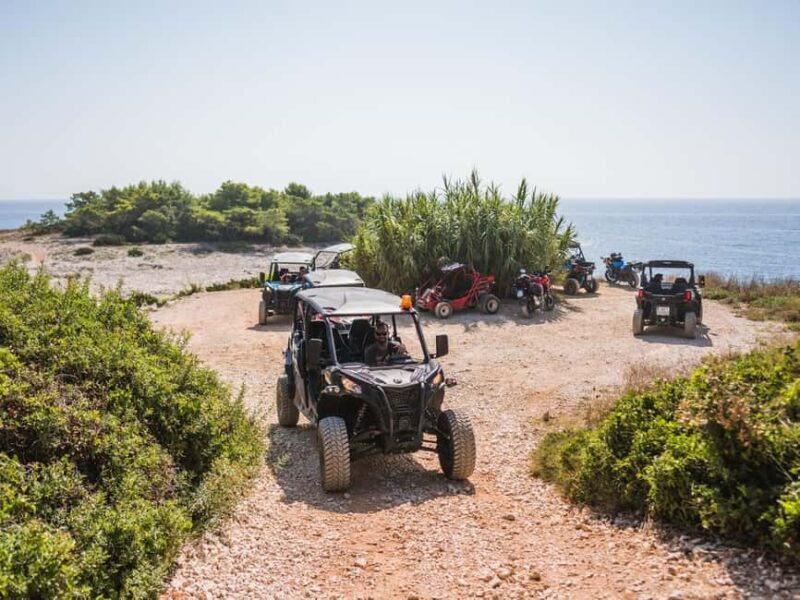 Korcula Buggy Safari With Wine Tasting - Practicalities and Considerations