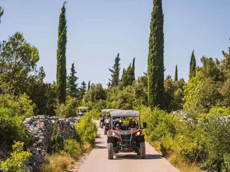 Korcula Buggy Safari With Wine Tasting - Who’s This Tour Best For?