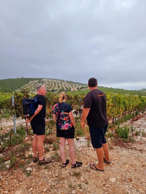 Korcula Buggy Tour Including our Local Food and Wine Tasting - Wrapping It Up
