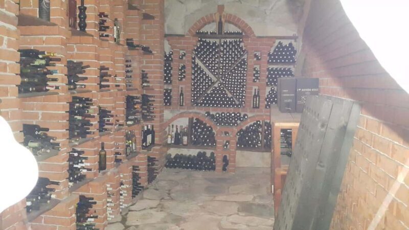 Korcula, Ston, Wine Tasting and Lunch - Tour from Dubrovnik - A Deep Dive into the Experience