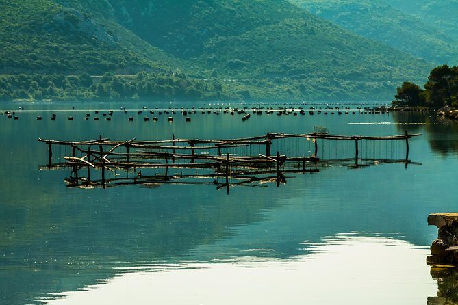 Korcula, Ston, Wine Tasting and Lunch - Tour from Dubrovnik - Who Is This Tour For?