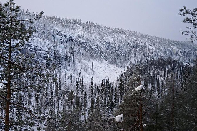 Korouoma Canyon & Ranua Zoo Tour - Key Points