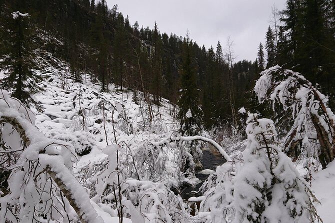 Korouoma Canyon & Ranua Zoo Tour - Who Should Consider This Tour?