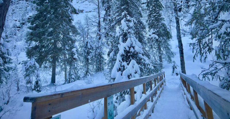 Korouoma: Frozen Waterfall Hiking Tour - Key Points