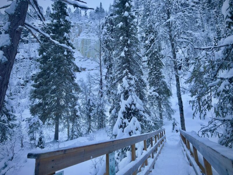 Korouoma: Frozen Waterfall Hiking Tour - The Experience: What’s in Store for You