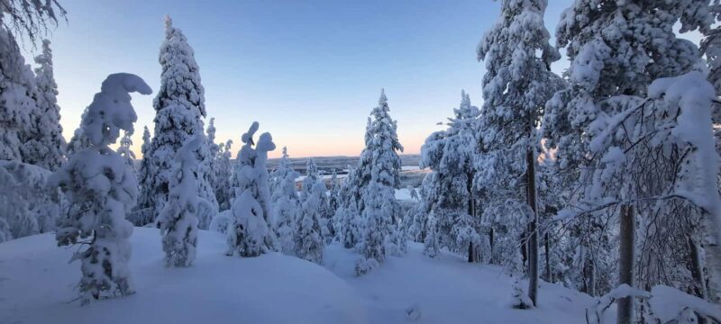 Korouoma Frozen Waterfalls - A Fairy Loop Hike at Canyon - Exploring Korouoma Canyon: What to Expect