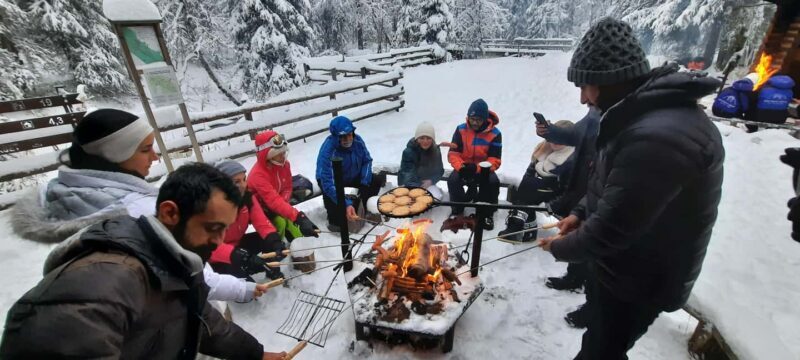 Korouoma Frozen Waterfalls - A Fairy Loop Hike at Canyon - Is This Tour Right For You?