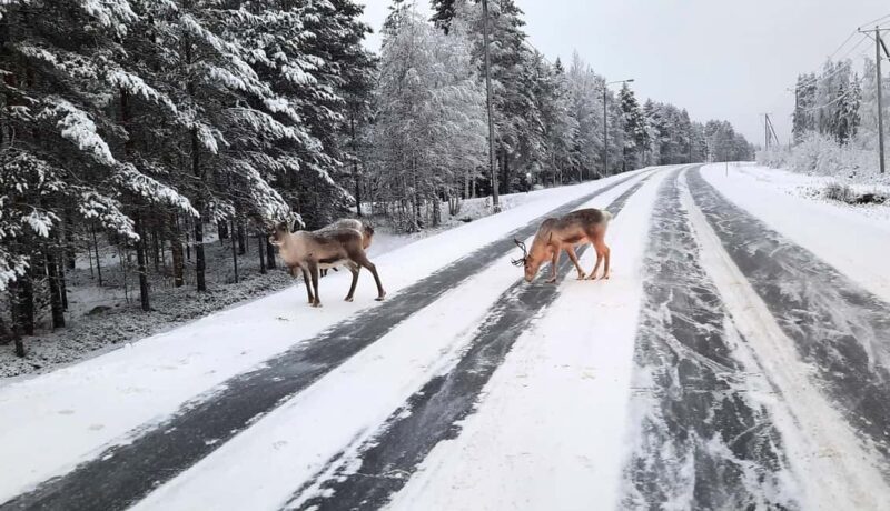 Korouoma Frozen Waterfalls - A Fairy Loop Hike at Canyon - Final Thoughts