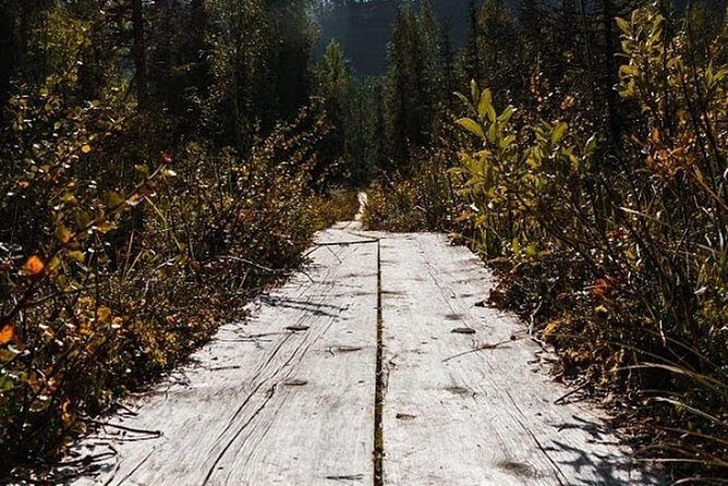 Korouoma National Park & Frozen Waterfalls Adventure - Who Should Consider This Tour?