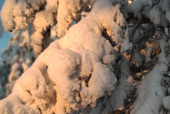 Korouoma National Park & Frozen Waterfalls Adventure - FAQs