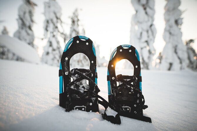 Korouoma National Park & Frozen Waterfalls - Exploring Korouoma National Park & Frozen Waterfalls: An Honest Look