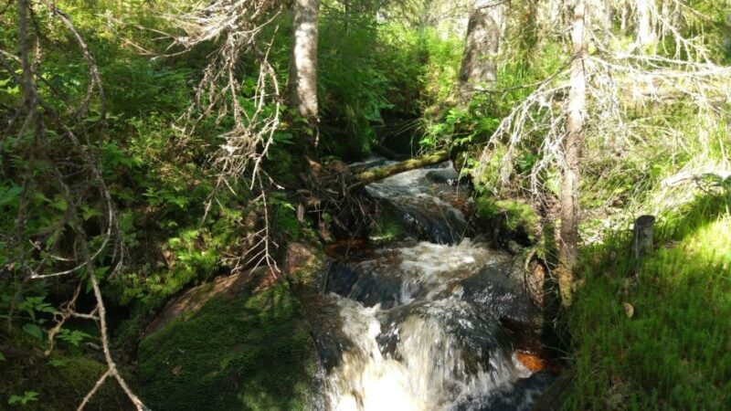 Korouoma National Park Guided Hike with Snacks - Value for Money: Is It Worth It?