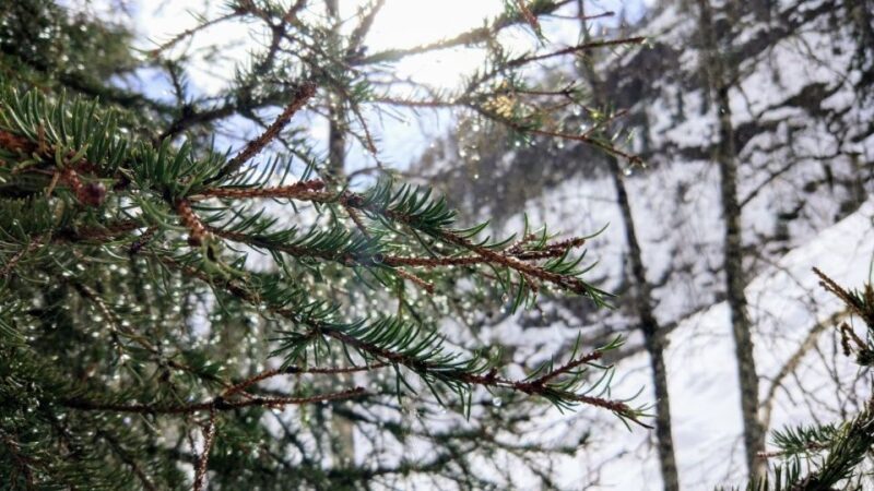 Korouoma National Park Guided Hike with Snacks - The Real Deal: What Travelers Say