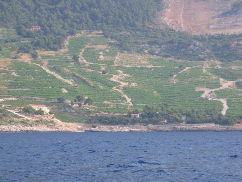 Korula & Ston Full-Day Private Tour from Dubrovnik - A Detailed Look at the Tour