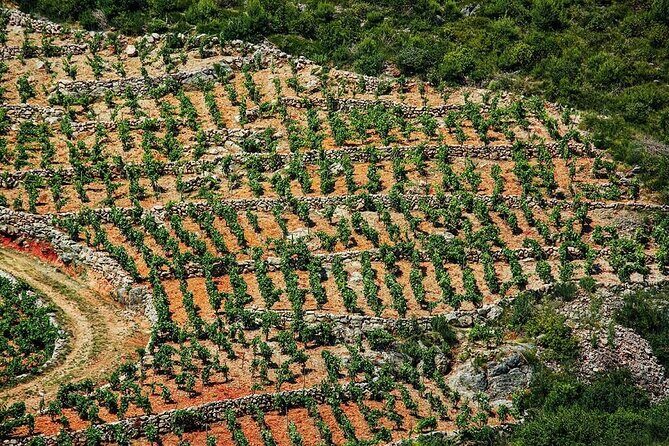 Korula & Ston: Island Charms, Peljeac Delights & Wine Tasting - Who Should Consider This Tour?