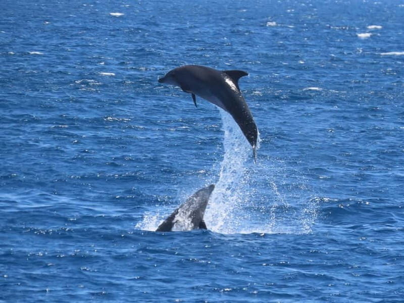 Kos: 3-Island Cruise with Lunch and Hotel Transfer - FAQ