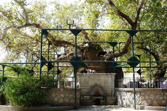 Kos Highlights Sightseeing Tour - FAQs