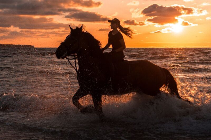 Kos: Horse Riding Experience on the Beach with Instructor - Practical Details