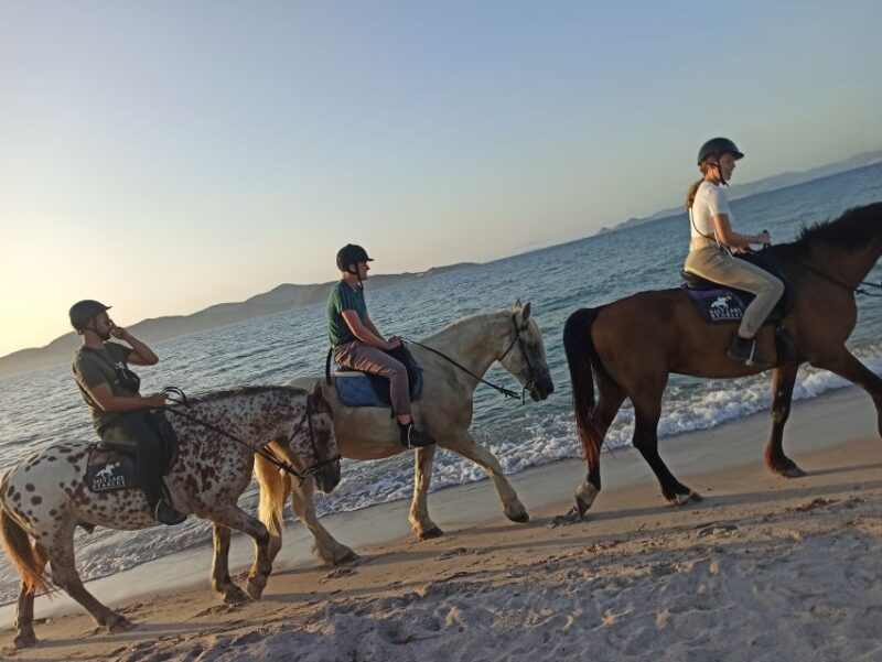 Kos: Horse Riding Experience on the Beach with Instructor - Authentic Feedback from Reviewers