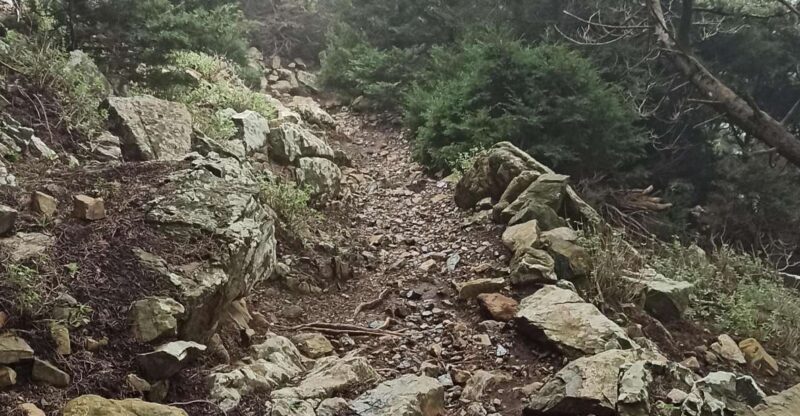 Kos: Moderate Hiking Tour on Dikaios Mountain - Key Points