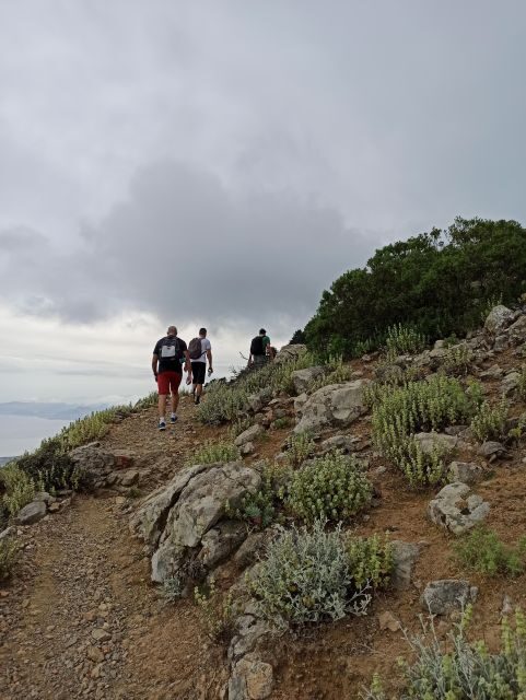 Kos: Moderate Hiking Tour on Dikaios Mountain - Who Would Love This Tour?
