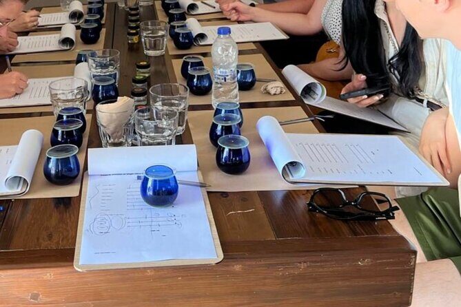 Kos Olive Oil Tasting - Olive Field Tour & Cooking Demostration - Key Points