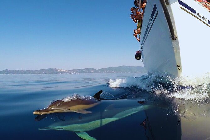 Kos: Small Group Full-Day Sailing with Meal, Drinks, & Swim - Practical Details: What Every Traveler Should Know