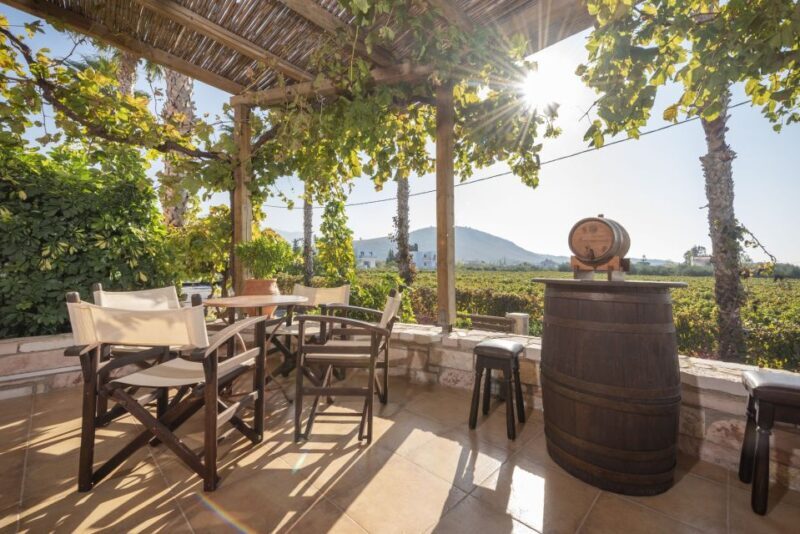 Kos: Wineries Tour w/ Wine Tastings & Transportation - Exploring Kos: Wineries Tour with Tastings & Transportation — What You Need to Know