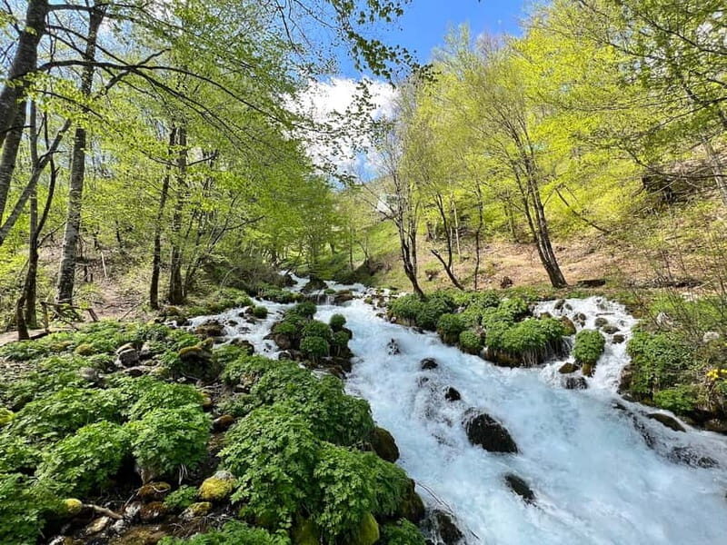 Kotor: Durmitor, Black Lake & Djurdjevica Tara Bridge Tour - Who Would Love This Tour