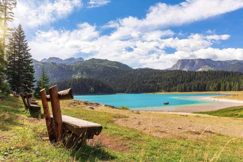 Kotor: Durmitor National Park & Tara Bridge Day Trip - The Iconic Tara Bridge and Canyon