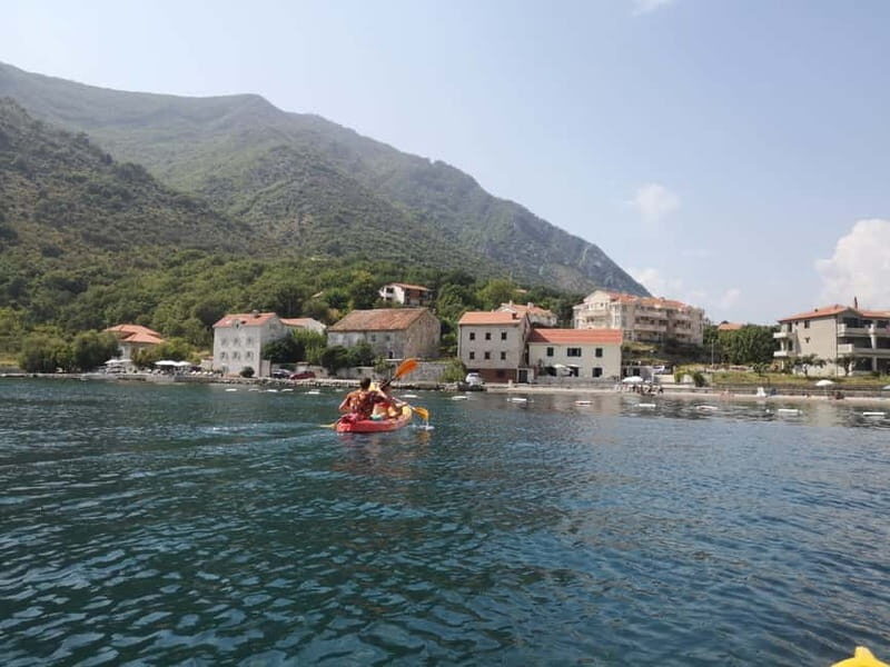 Kotor: Guided Kotor Bay Kayaking Tour - Key Points