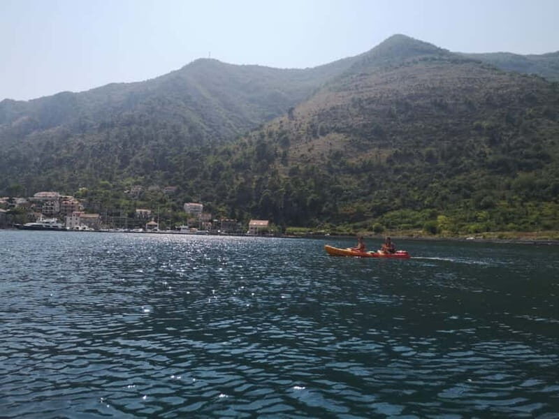 Kotor: Guided Kotor Bay Kayaking Tour - What to Expect from the Kotor Bay Kayaking Tour