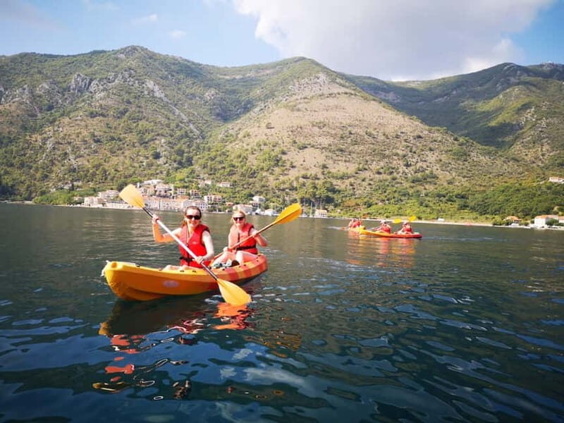 Kotor: Guided Kotor Bay Kayaking Tour - Price and Value