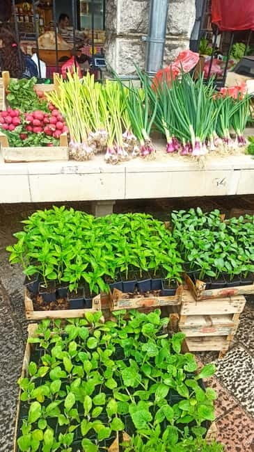 Kotor: Private Walking Tour with Wine and Food Tasting - Final Thoughts: Is This Tour Right for You?