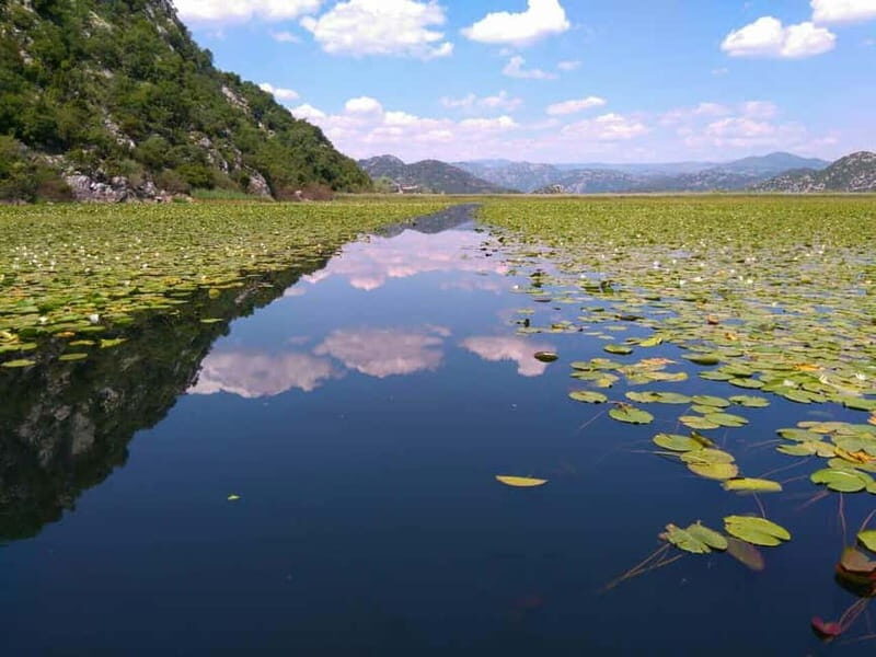 Kotor: Skadar Lake National Park with Wine Tasting - A Deep Dive Into the Tour Experience