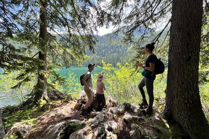 Kotor to Durmitor - Black Lake & Djurdjevica Tara Bridge tour - The Itinerary in Detail