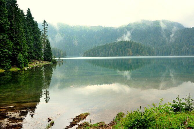 Kotor to Durmitor - Black Lake & Djurdjevica Tara Bridge tour - Authentic Perspectives from Other Travelers