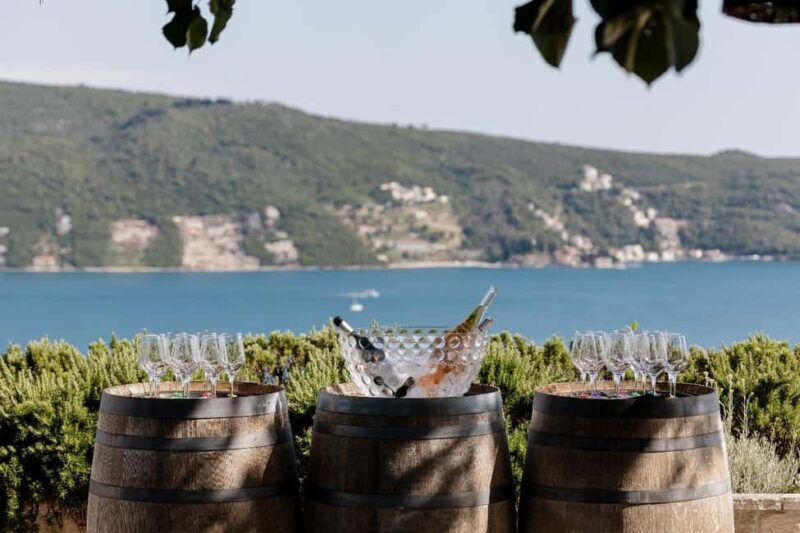 Kotor: Wine tasting & Lady of the Rocks speedboat getaway - A Deep Dive into the Experience