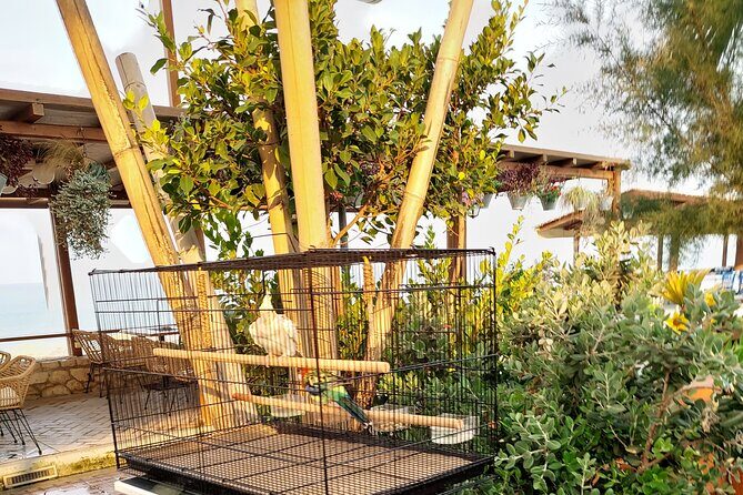 kourouta sandy beach all included from Katakolo port - Frequently Asked Questions