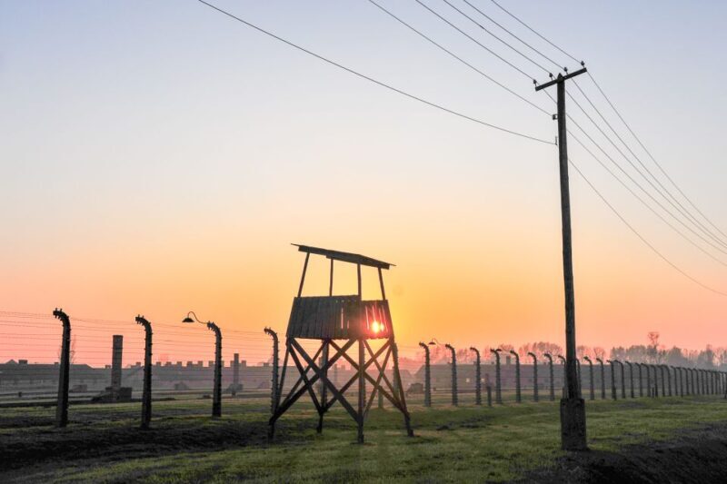 Krakow: Auschwitz-Birkenau and Salt Mine Guided Tour - Reviews: What Travelers Say