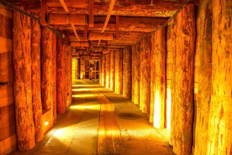 Krakow: Auschwitz-Birkenau and Wieliczka Salt Mine Day Trip - Who Is This Tour Best For?