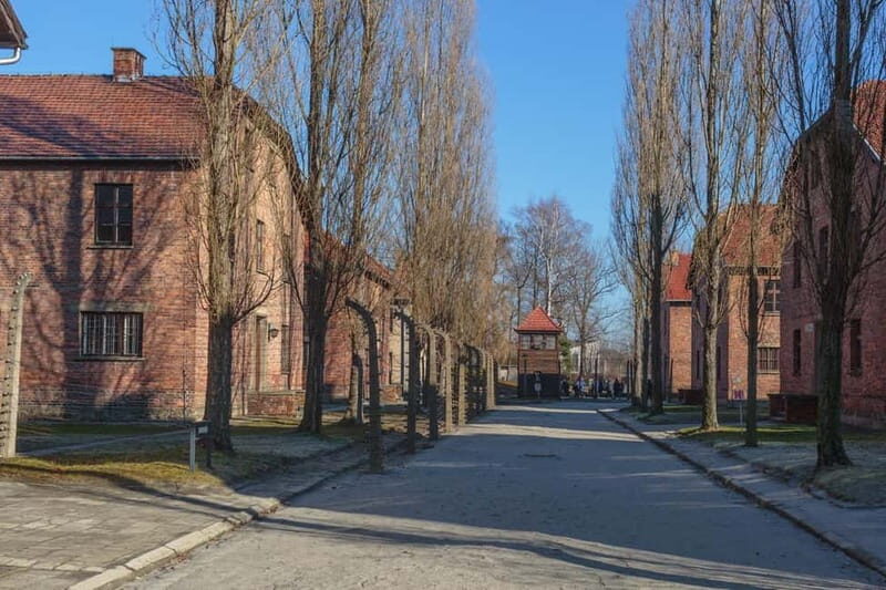 Krakow: Auschwitz-Birkenau Entry Ticket and Transfer - Key Points