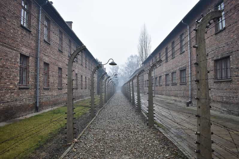 Krakow: Auschwitz-Birkenau Guided Tour or Self-Guided Tour - Diving into the Experience