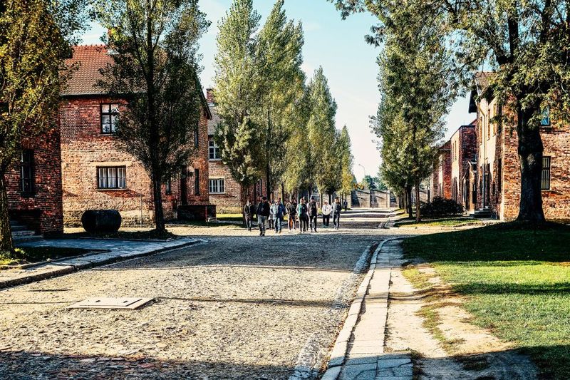 Krakow: Auschwitz-Birkenau Live Guided Tour & Hotel Pickup - Price and what you’re actually buying for $22
