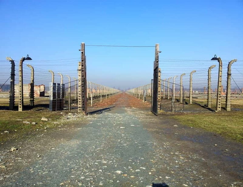 Krakow: Auschwitz-Birkenau Memorial Tour with Optional Lunch - A Deep Dive into the Auschwitz-Birkenau Tour Experience