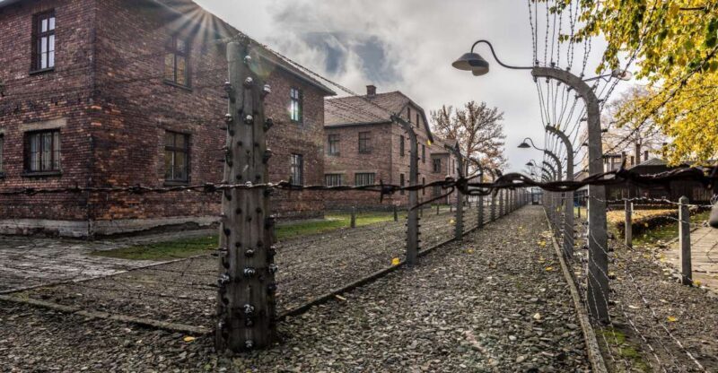 Kraków: Auschwitz-Birkenau & Salt Mine Full-Day Guided Tour - What to Expect From This Tour