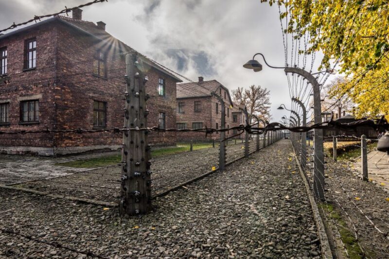 Kraków: Auschwitz-Birkenau & Salt Mine Full-Day Guided Tour - Final Thoughts