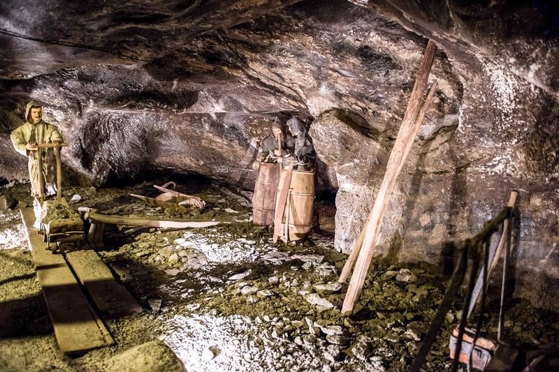 Krakow: Auschwitz-Birkenau & Wieliczka Salt Mine Day Tour - Lunch That Actually Helps: Packed Lunch Options and Food Timing