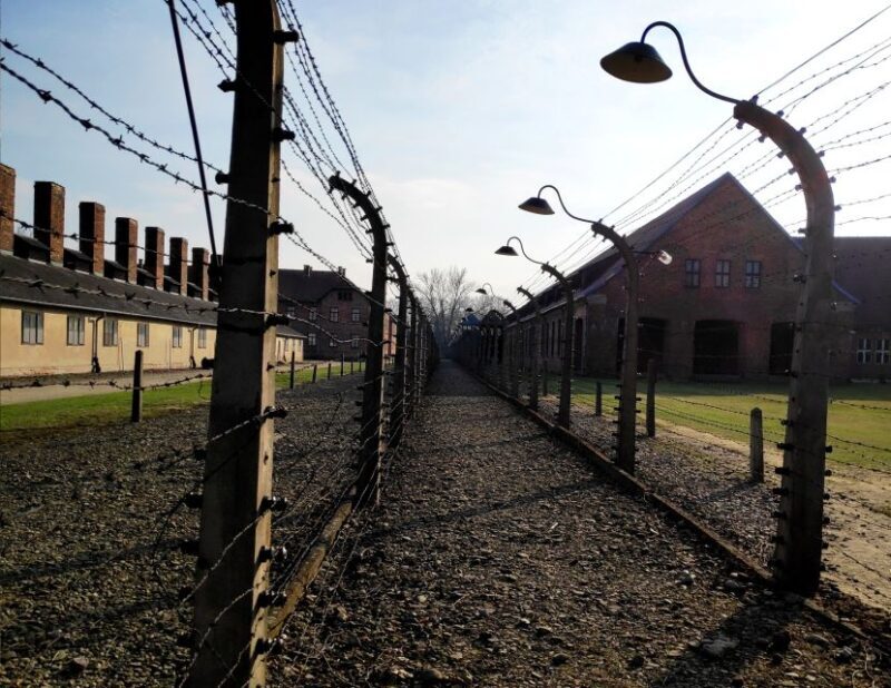 Krakow: Auschwitz-Birkenau & Wieliczka Salt Mine with Lunch - An In-Depth Look at the Tour