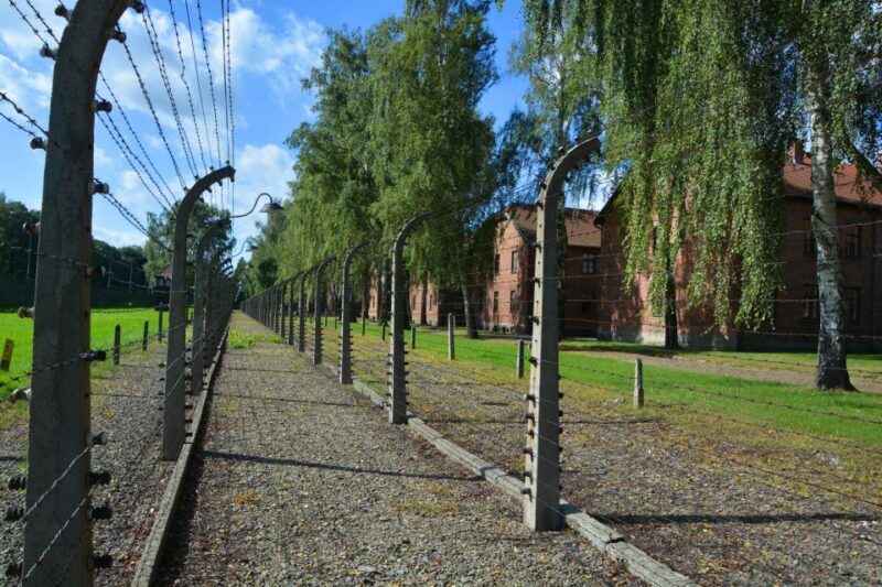 Krakow: Guided Auschwitz Birkenau Tour - Who Should Consider This Tour?